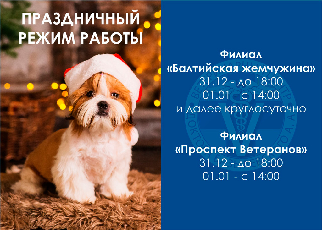 veterinarnaya-klinika-novogodniy-rezhim-raboty Режим работы Ветеринарных центров 31.12 и 01.01