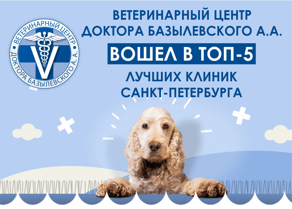 Лучшие ветеринарные клиники СПб