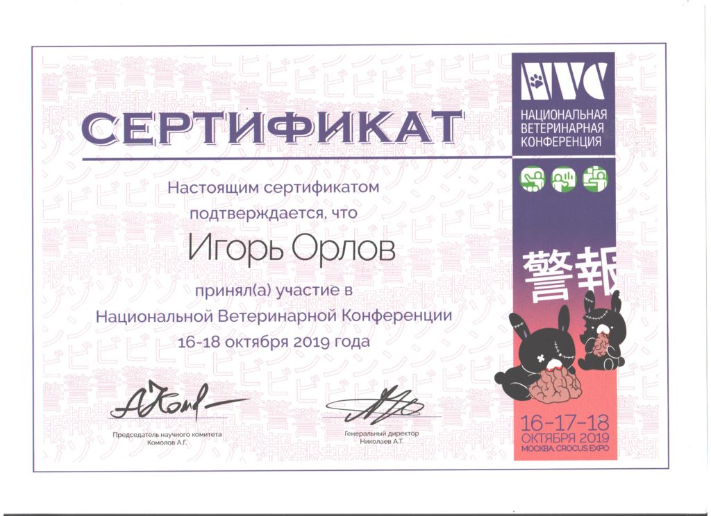Vetcamp 2020 Сертификат. Орлов Игорь