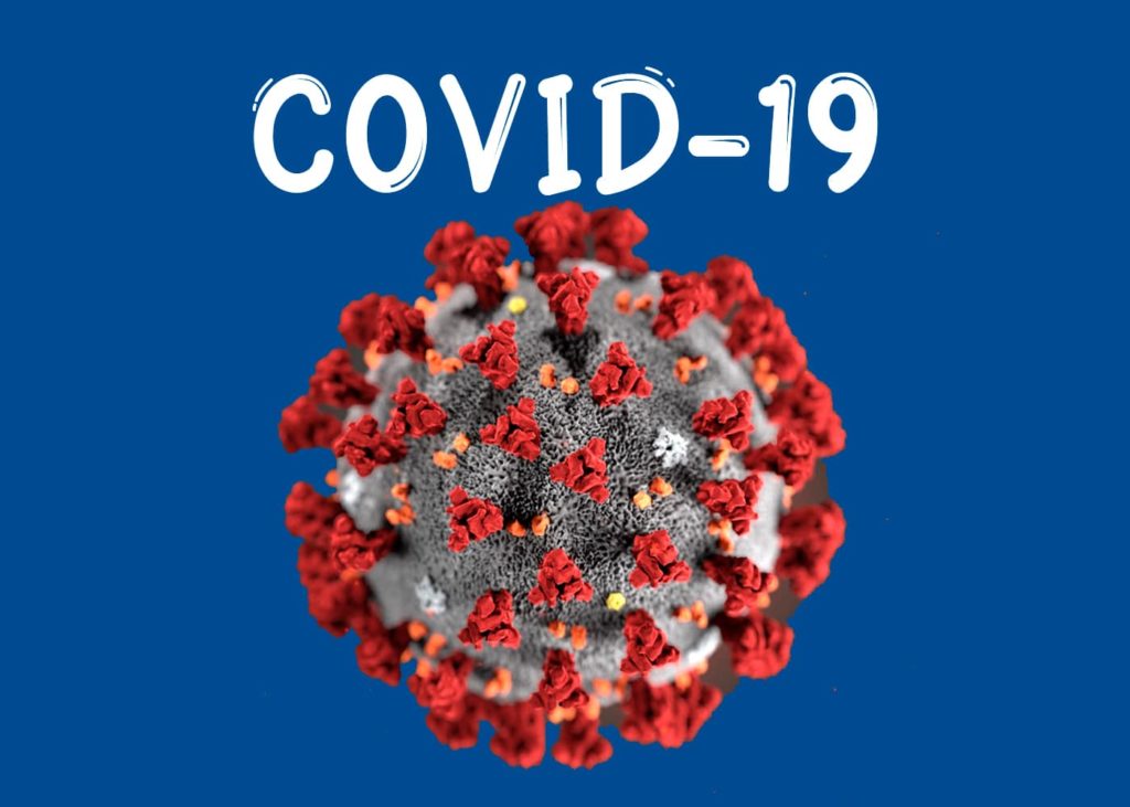 -у-животных-1024x731 Животные и коронавирусная болезнь 2019 года (COVID-19)