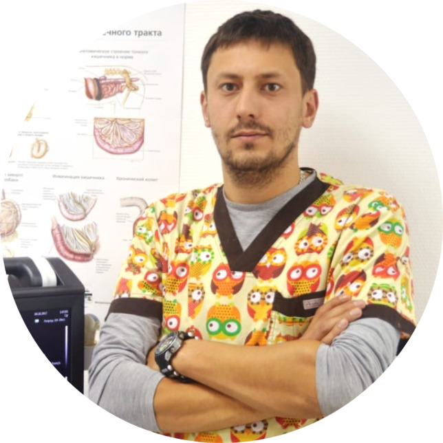 Гуляев Андрей Сергеевич