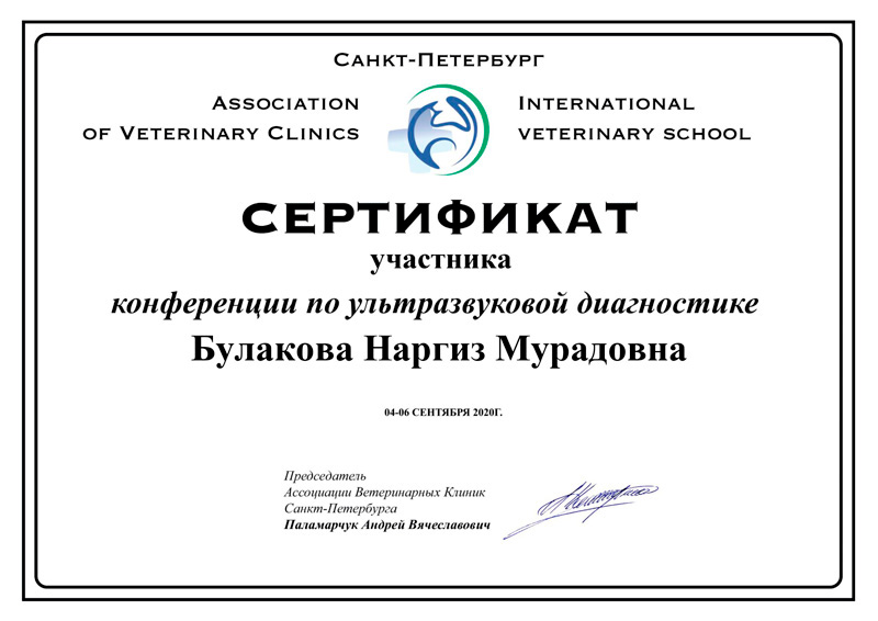 sertifikat-bulakova-n-m-1 Булакова Наргиз Мурадовна