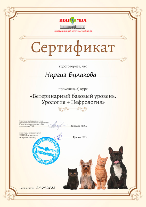 sertifikat-bulakova-n-m-2 Булакова Наргиз Мурадовна