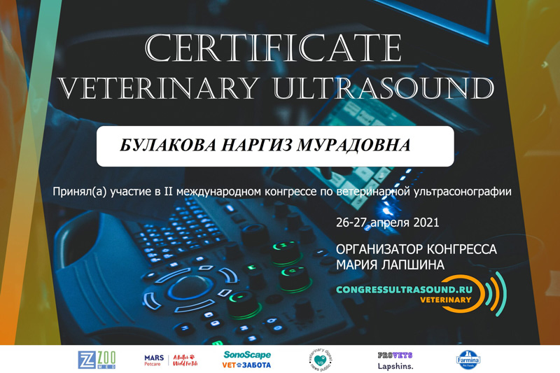 sertifikat-bulakova-n-m-9 Булакова Наргиз Мурадовна