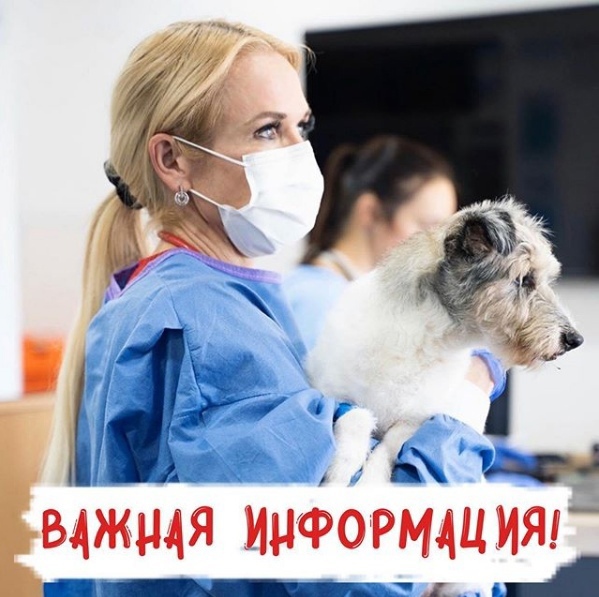 С 25 октября филиал "Смоленск" временно не осуществляется круглосуточный прием пациентов