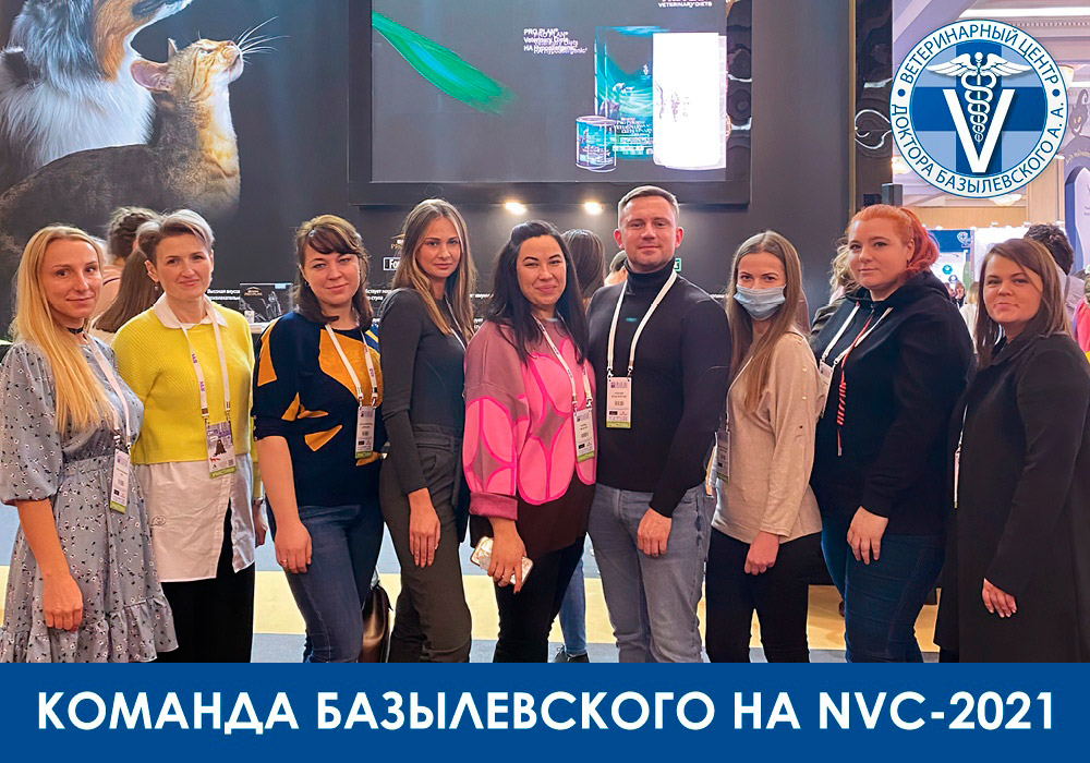 Команда Базылевского на NVC-2021