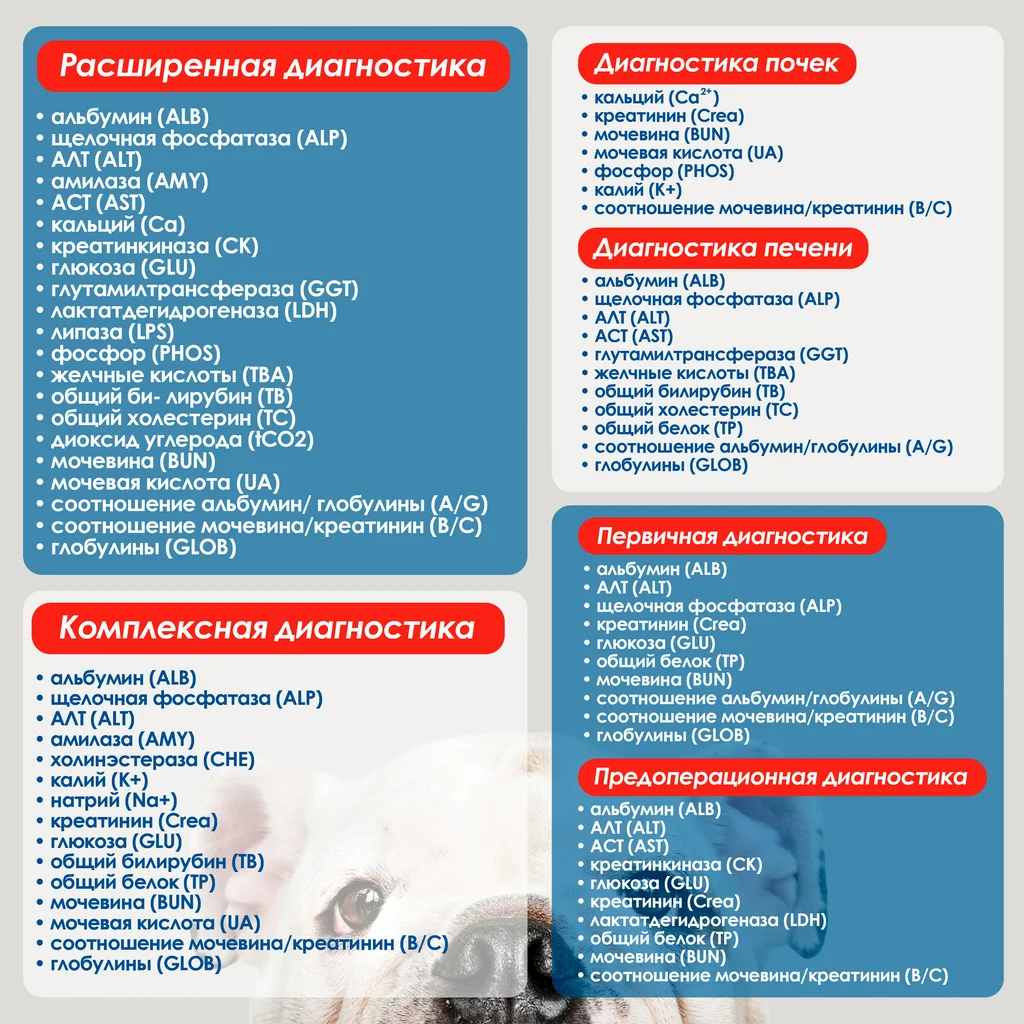 spisok-diagnostiki-dlya-zhivotnyh Биохимический экспресс-анализ крови