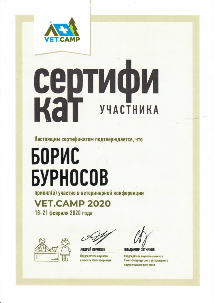 burnosov-boris-yurevich-sertifikat-uchastnika-konferencii-724x1024-1 Бурносов Борис Юрьевич