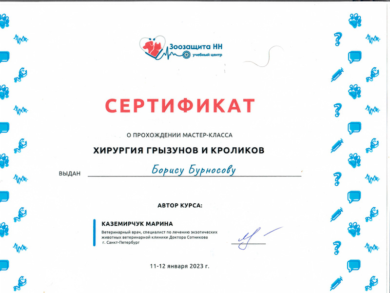 sertifikat-2 Бурносов Борис Юрьевич