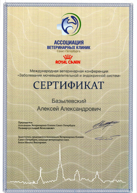 sertifikat-1 Базылевский Алексей Александрович