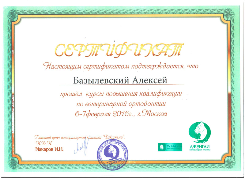 sertifikat-11 Базылевский Алексей Александрович