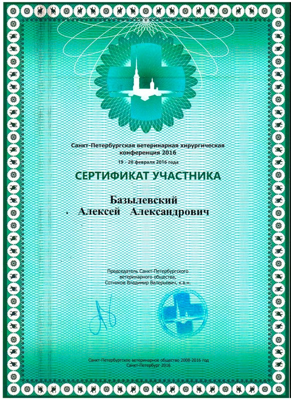 sertifikat-17 Базылевский Алексей Александрович