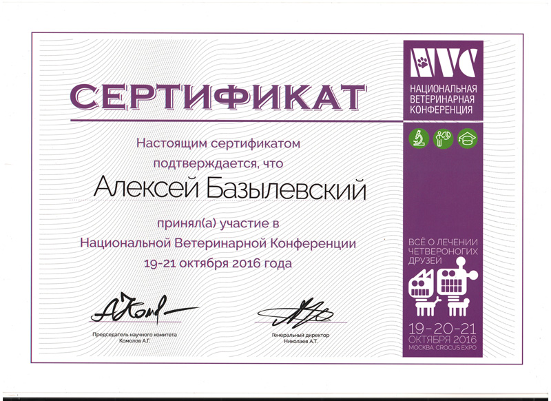 sertifikat-18 Базылевский Алексей Александрович
