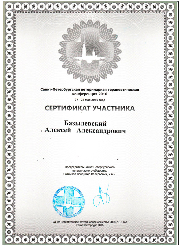 sertifikat-21 Базылевский Алексей Александрович