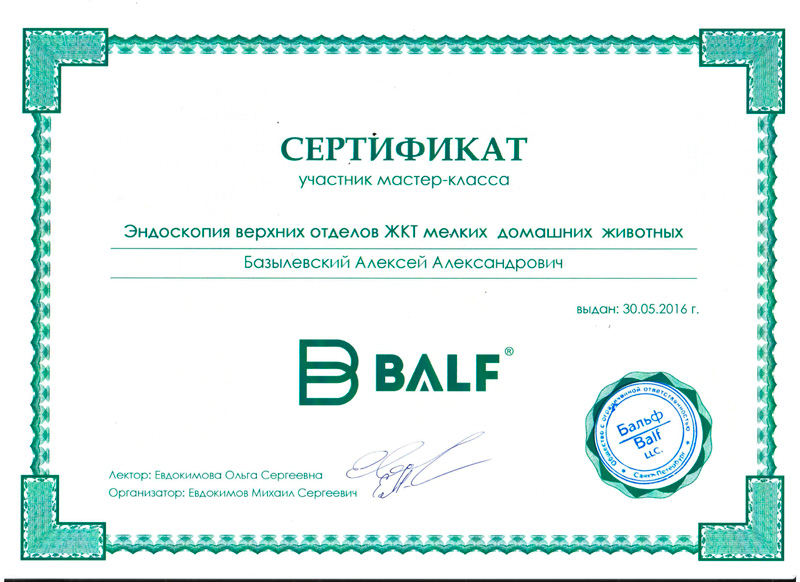 sertifikat-23 Базылевский Алексей Александрович