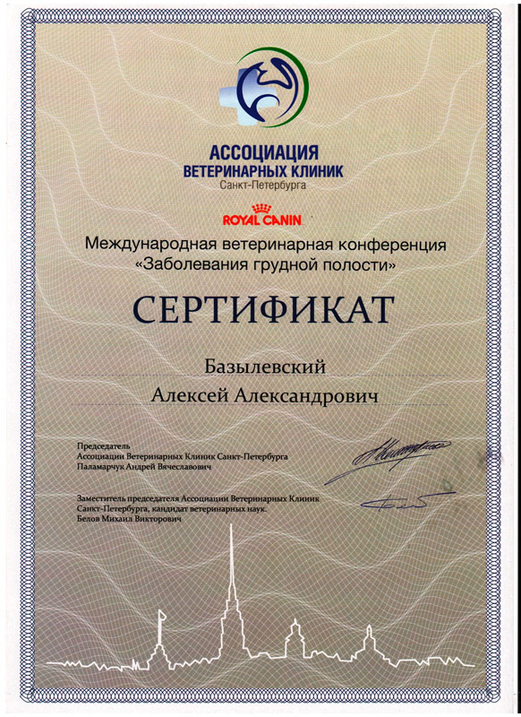 sertifikat-26 Базылевский Алексей Александрович