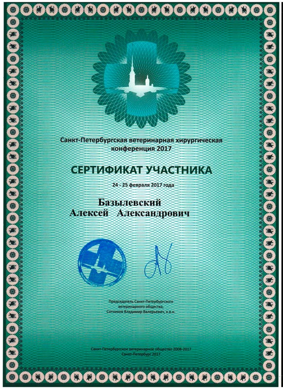 sertifikat-29 Базылевский Алексей Александрович