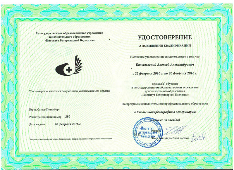 sertifikat-31 Базылевский Алексей Александрович