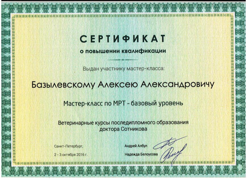 sertifikat-32 Базылевский Алексей Александрович