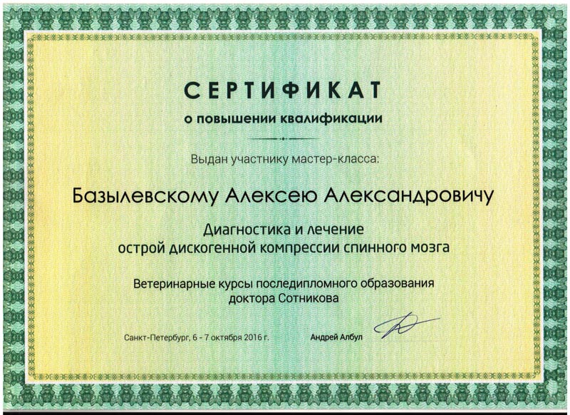 sertifikat-33 Базылевский Алексей Александрович