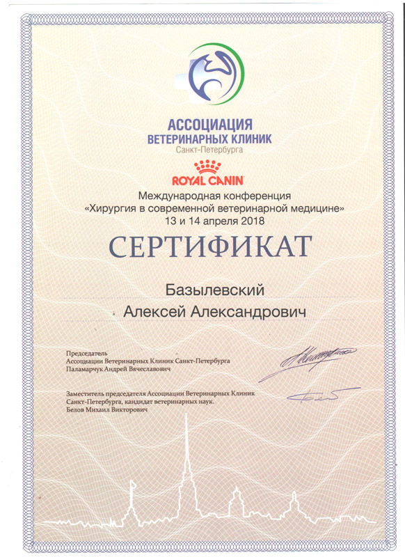 sertifikat-4 Базылевский Алексей Александрович