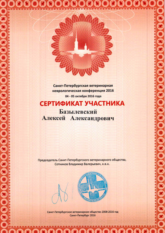 sertifikat-41 Базылевский Алексей Александрович