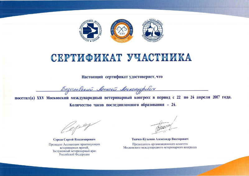 sertifikat-45 Базылевский Алексей Александрович