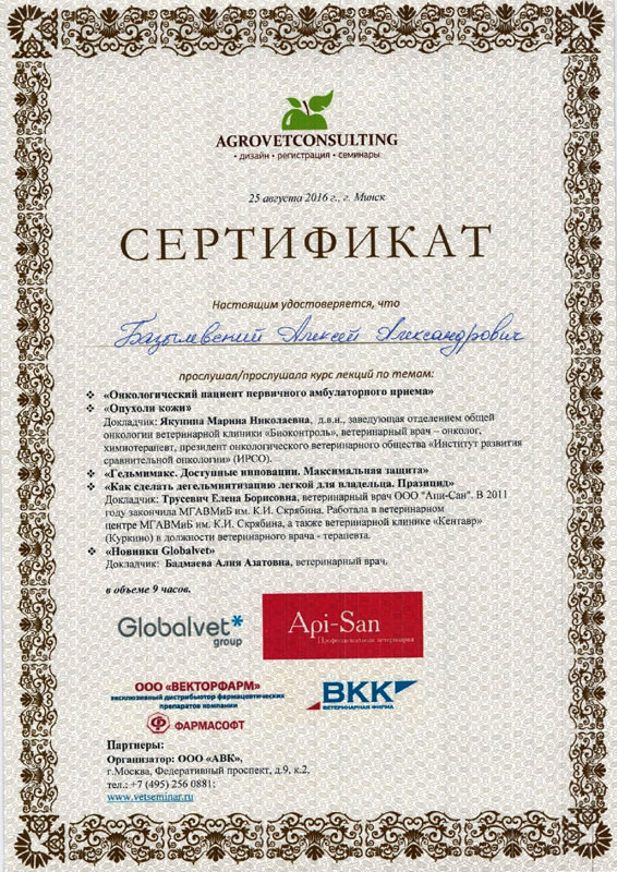 sertifikat-46 Базылевский Алексей Александрович
