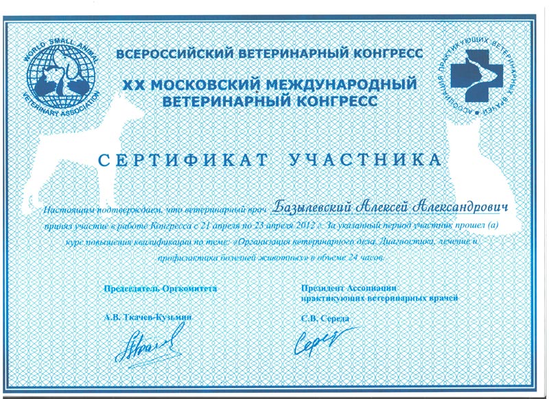 sertifikat-48 Базылевский Алексей Александрович