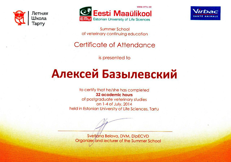 sertifikat-7 Базылевский Алексей Александрович
