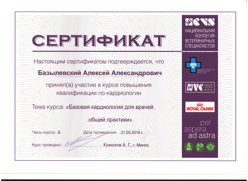 sertifikat-8 Базылевский Алексей Александрович