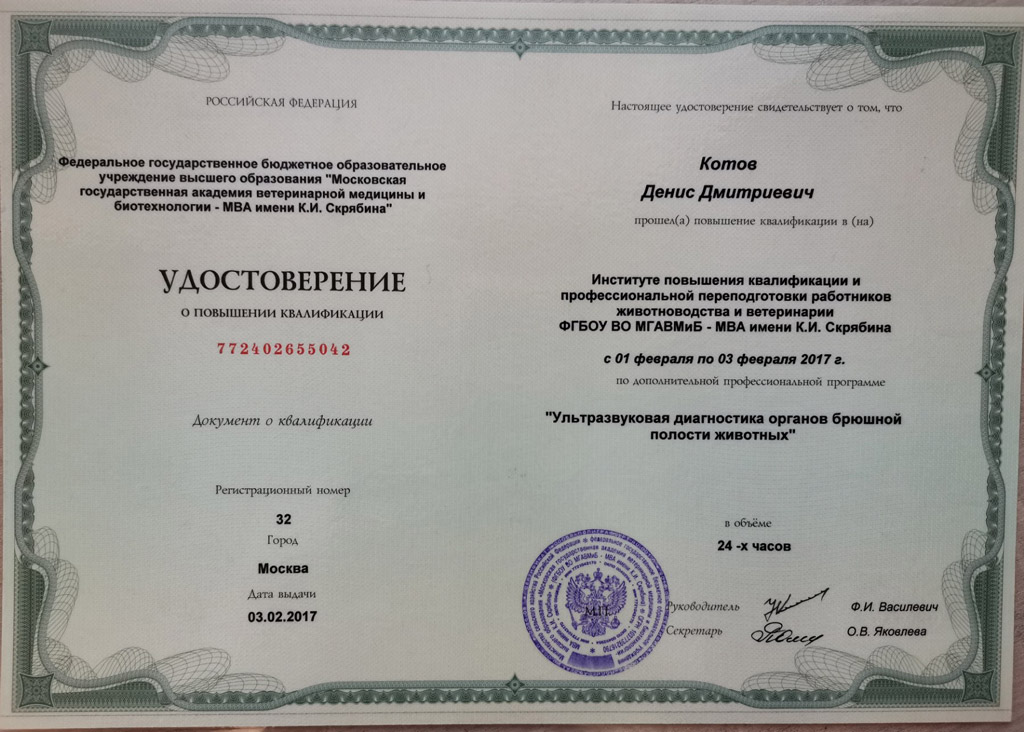 sertifikat-kotova-dd-4 Котов Денис Дмитриевич