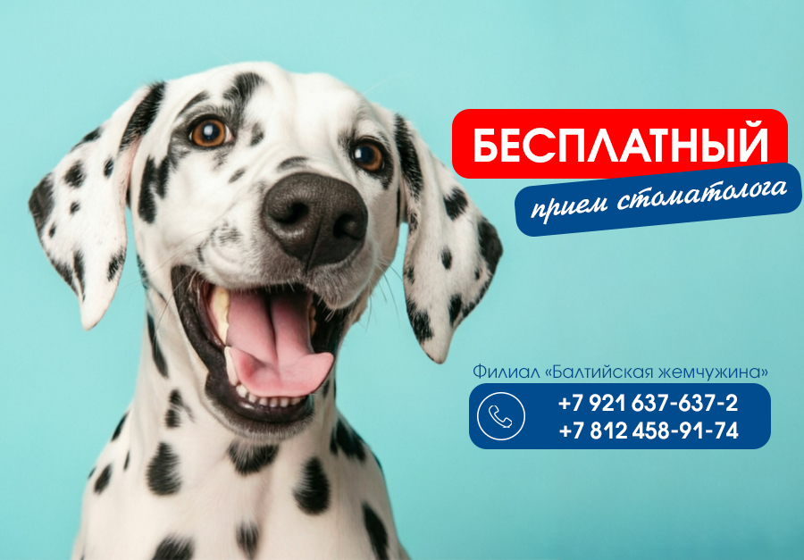 Бесплатный прием стоматолога