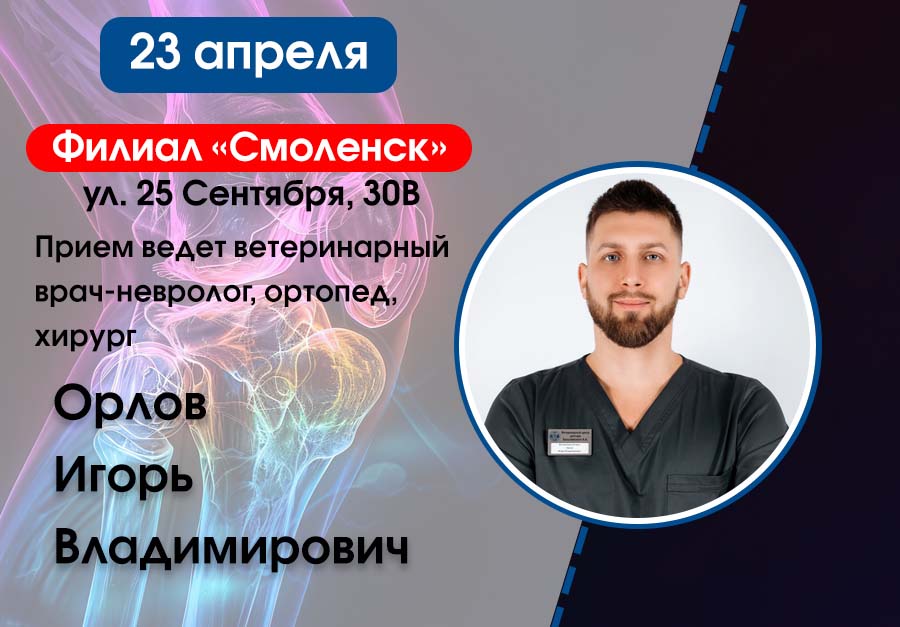 Орлов в Смоленске в апреле