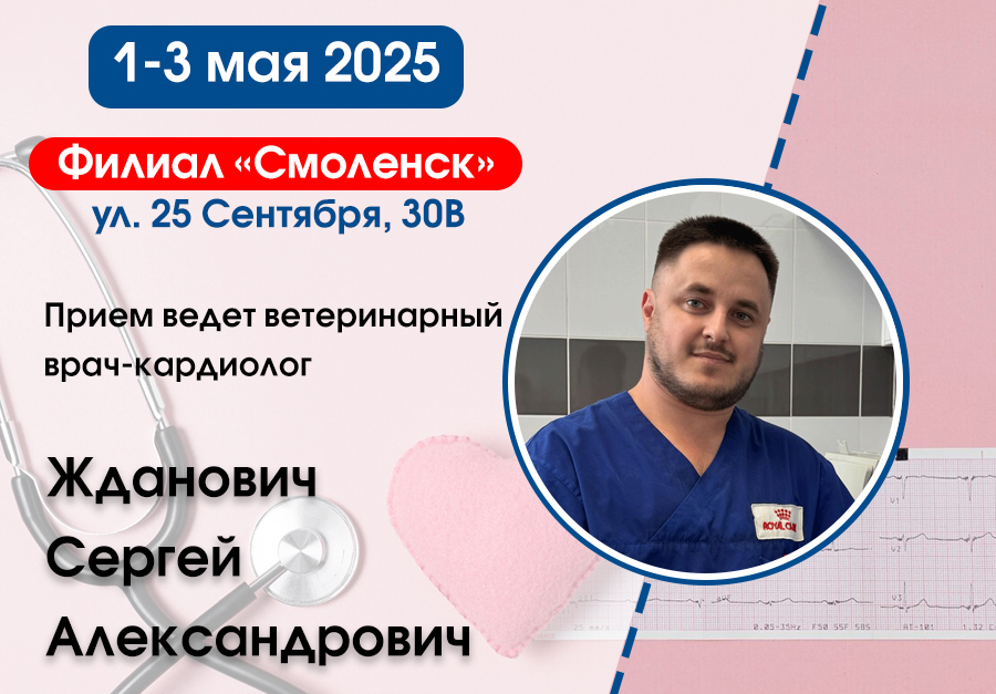 Прием ведет кардиолог