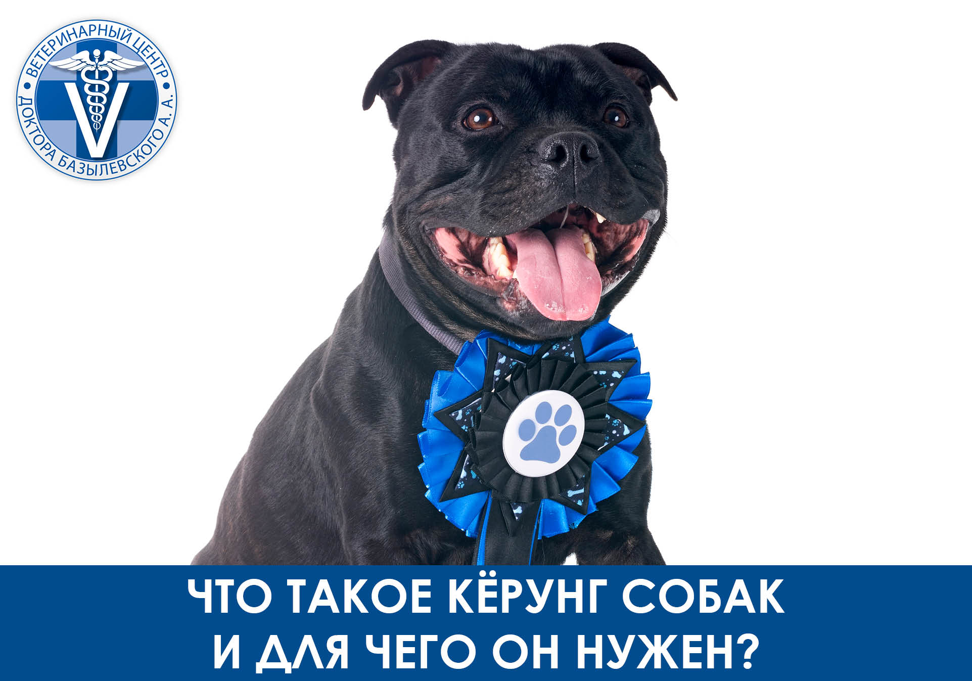 что такое керунг собак