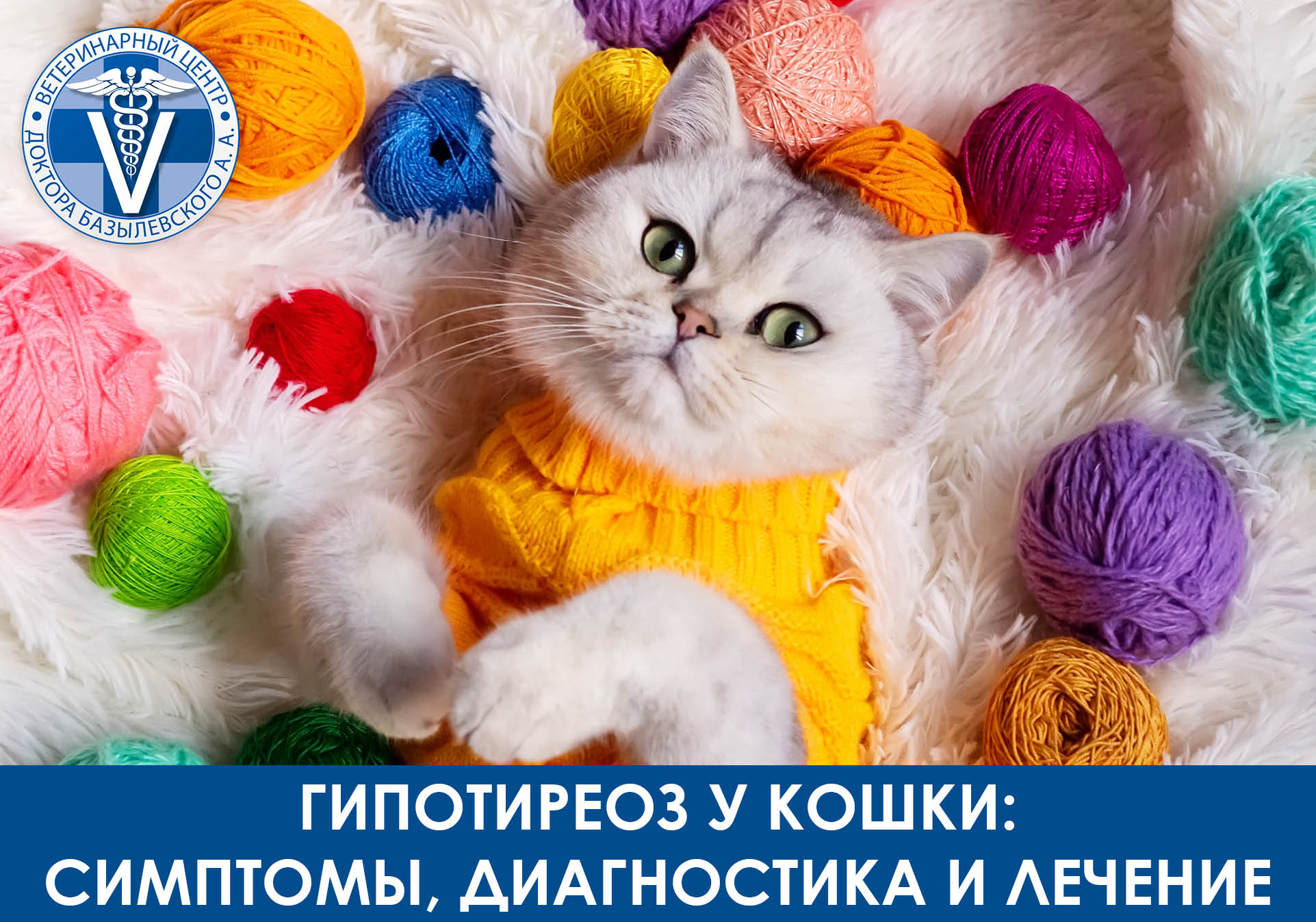 гипотериоз у кота