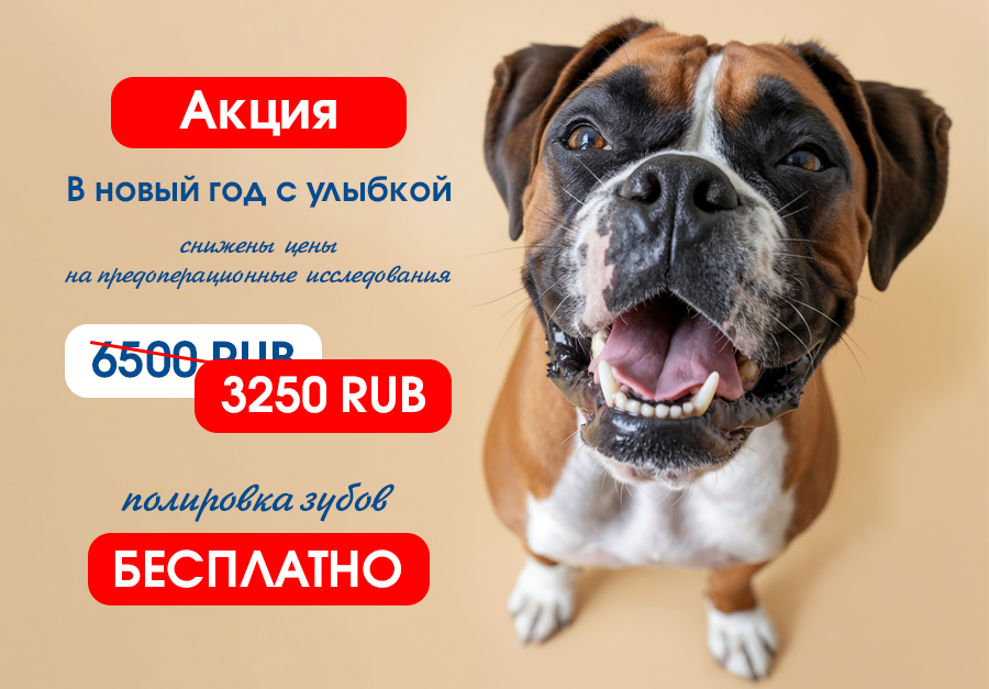 Акция Петергофское в новый год с улыбкой