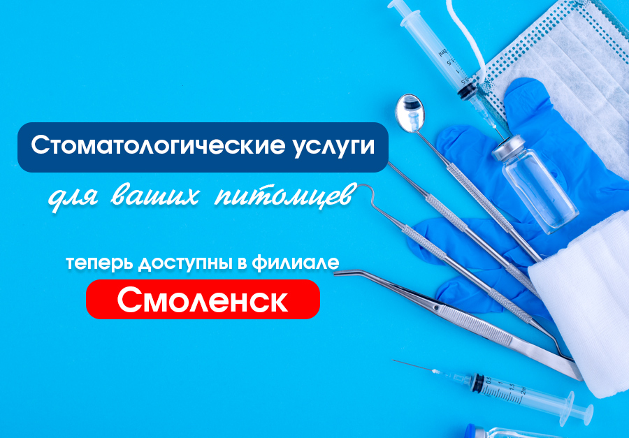 Стоматологические услуги в Смоленске