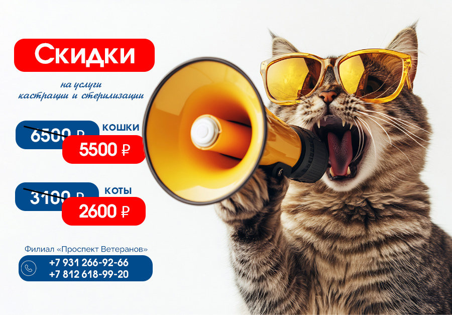 Кастрация и стерилизация ветеранов