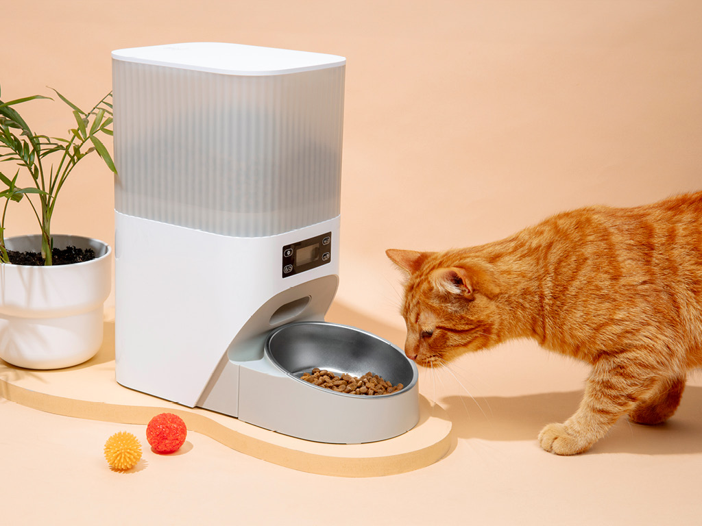 kot-okolo-avtomaticheskoy-kormushki Почему кошка просит есть, даже если не голодна?