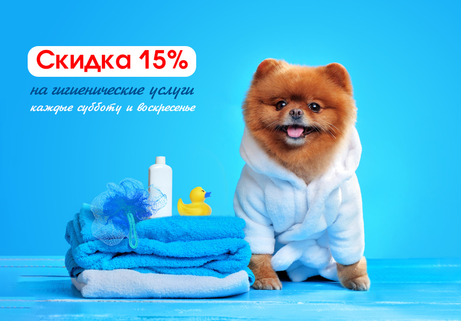 Скидка 15% на гигиенические услуги