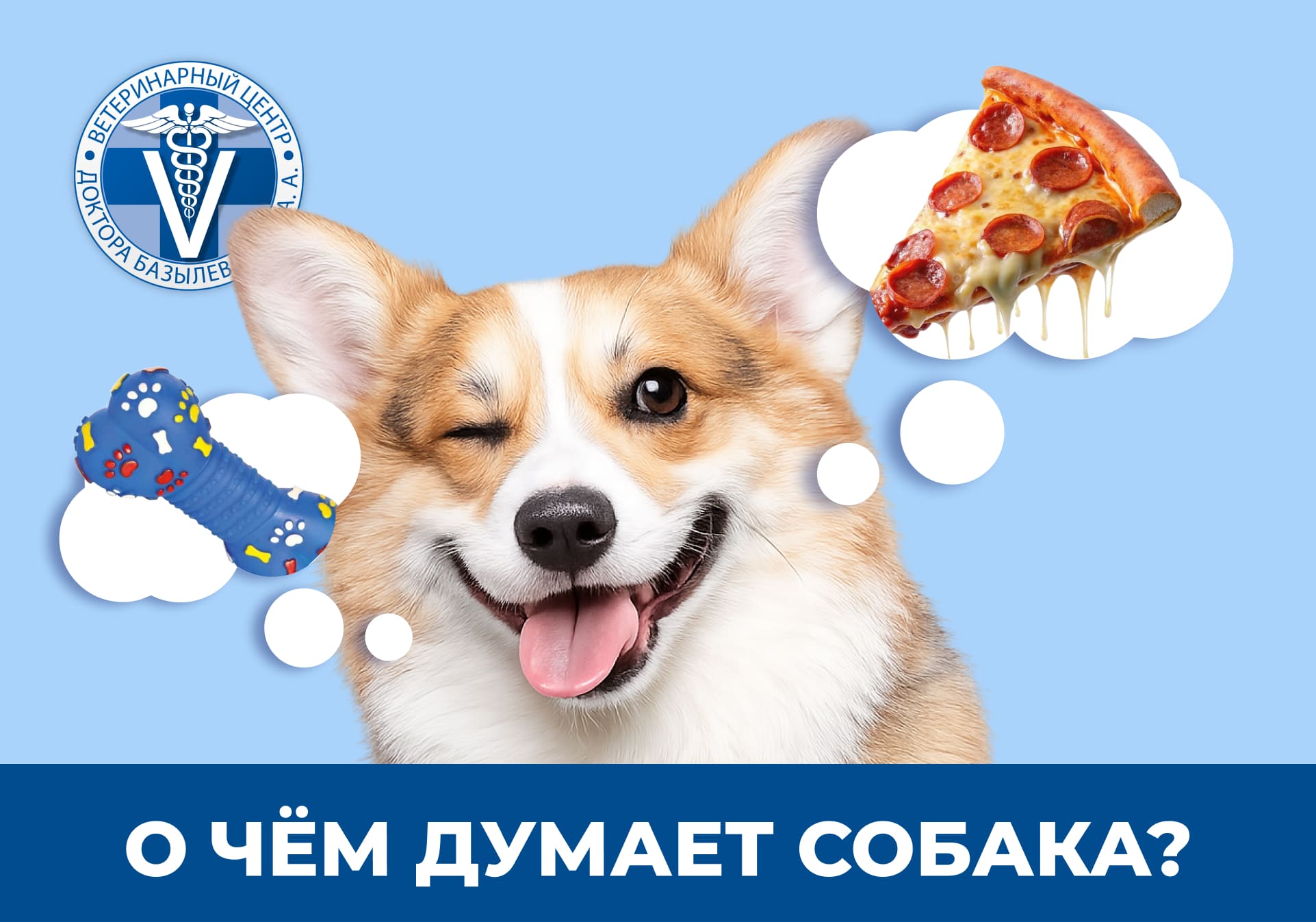 собака думает