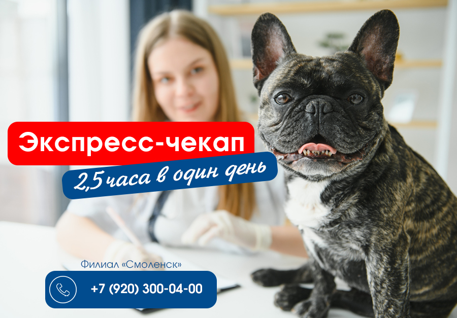 ekspress-chekap Экспресс-чекап за 2,5 часа!