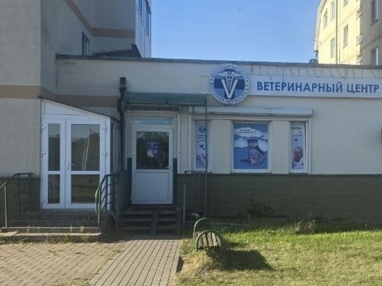 serebryanka Контакты