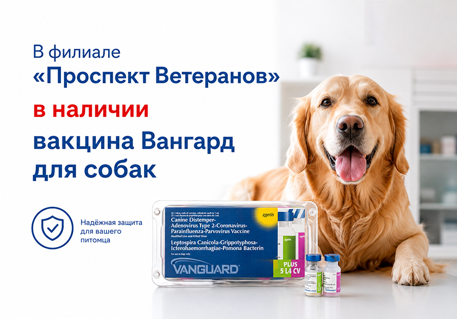 vangard-na-veteranov Вангард в наличии