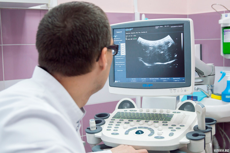veterinarnyy-vrach-za-uzi-oborudovaniem Общая информация по ультразвуковой диагностике (УЗИ)
