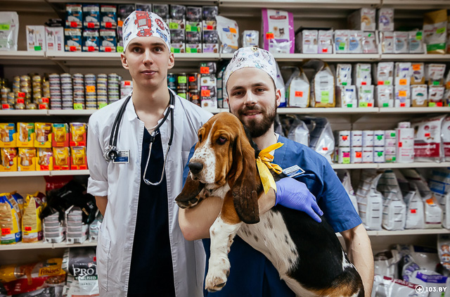 vrachi-veterinary-i-sobaka Общая информация по урологии и нефрологии