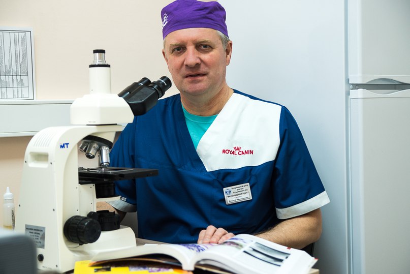 veterinarnyy-vrach-onkolog Врач-онколог о раке животных
