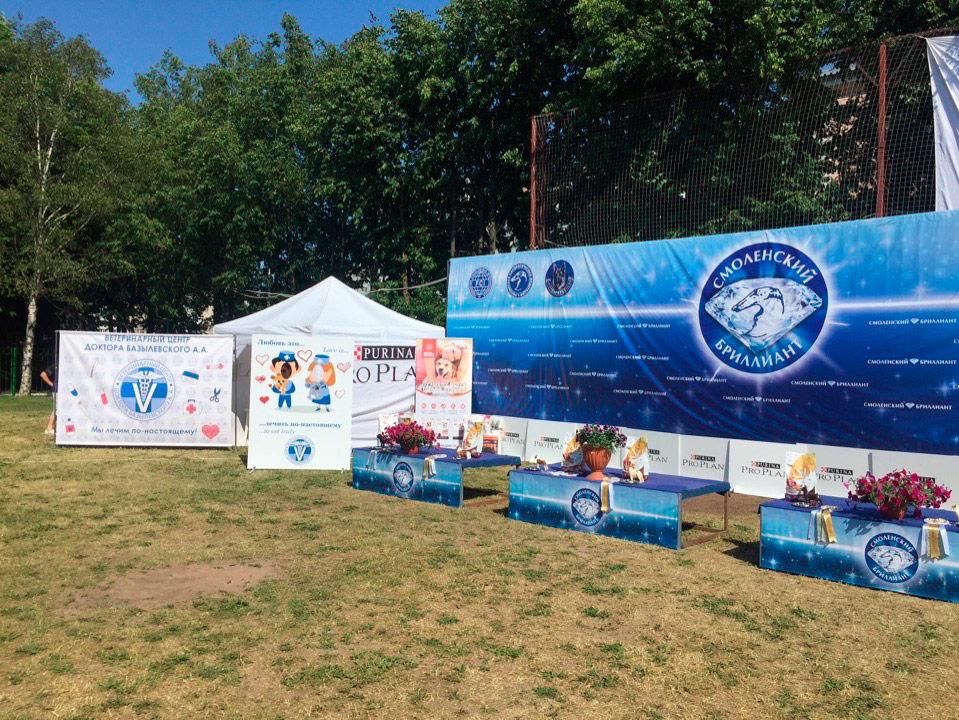 vystavka-sobak Ветцентр доктора Базылевского партнёр выставки Смоленский бриллиант
